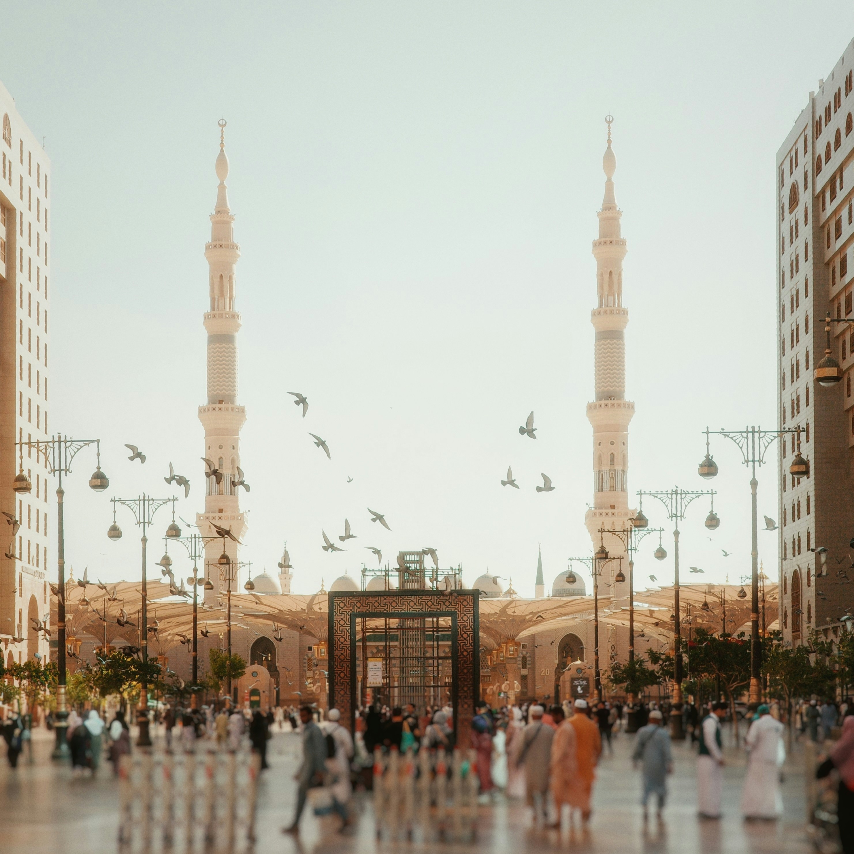 Faisal Al-Otaibi